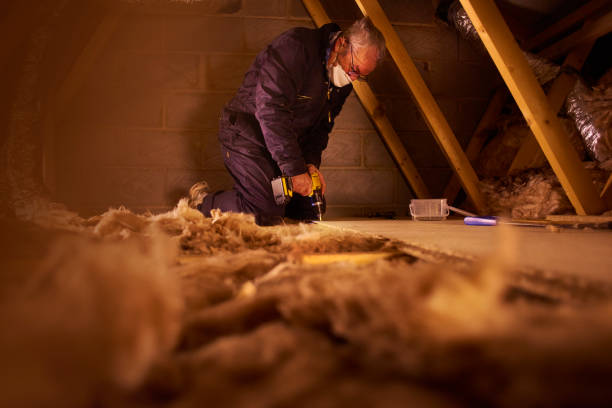 Best Geographic-Specific Insulation Services in Brentwood, TN